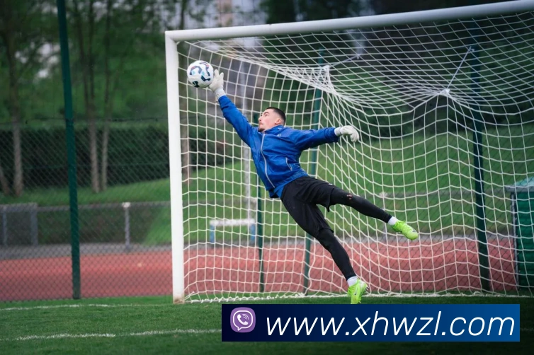 App Interface Preview